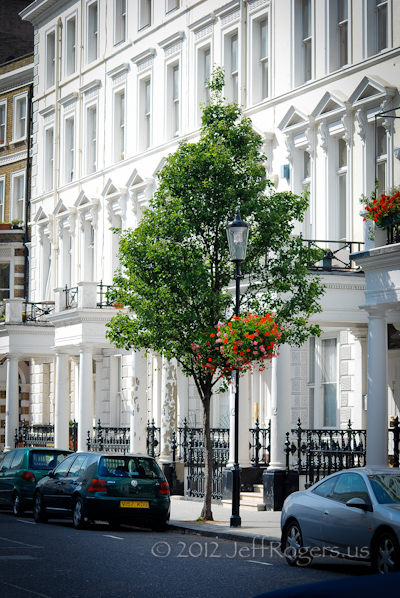 London tree